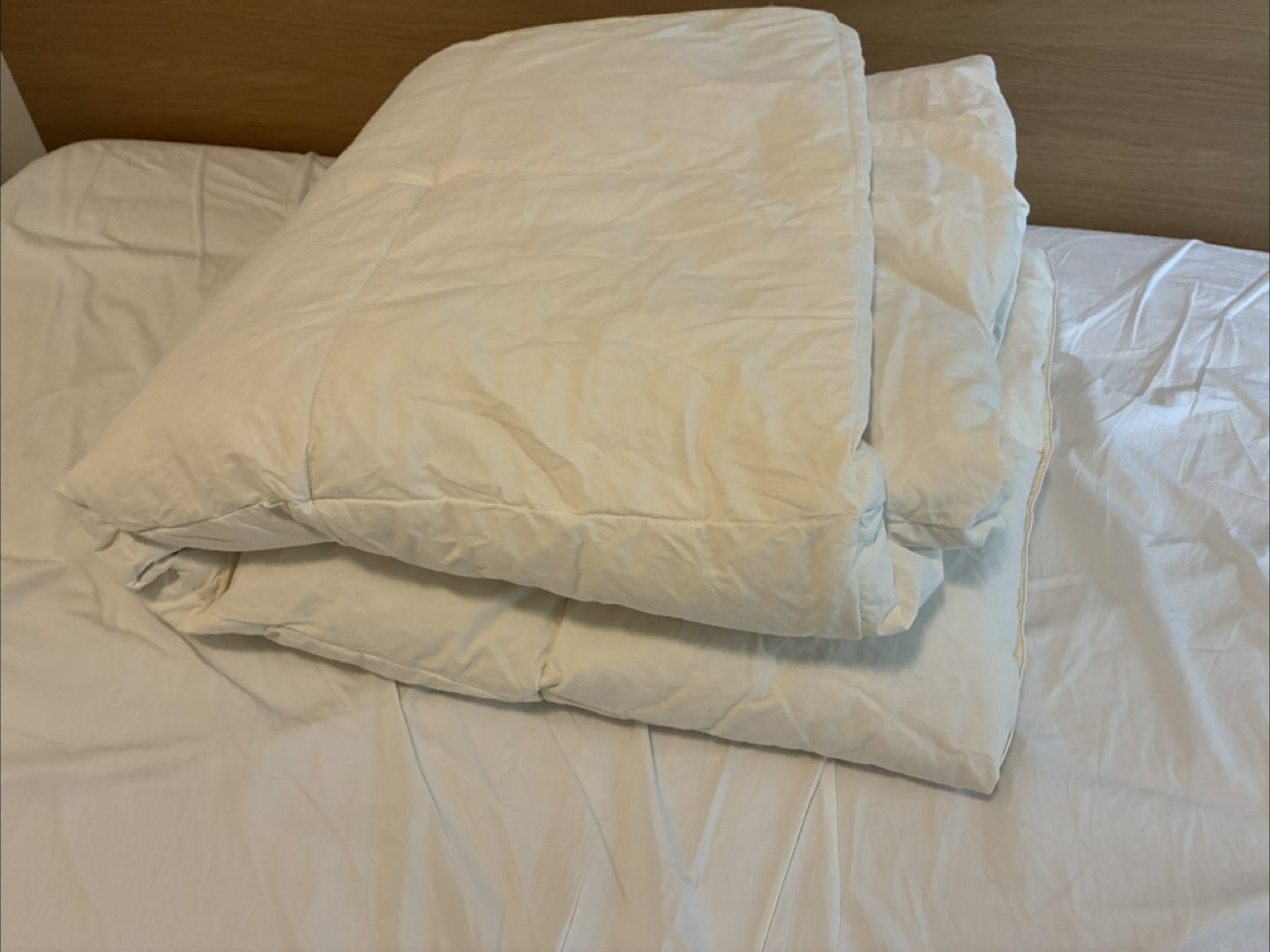 FREE IKEA duvet insert - photo 4