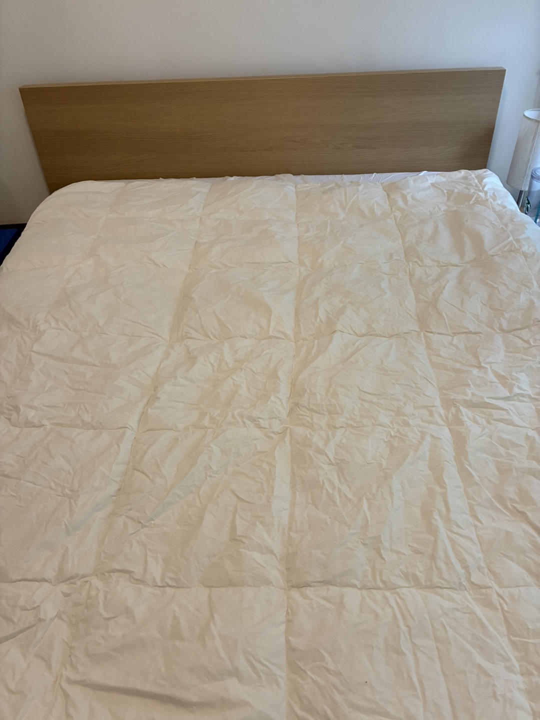 FREE IKEA duvet insert - photo 2