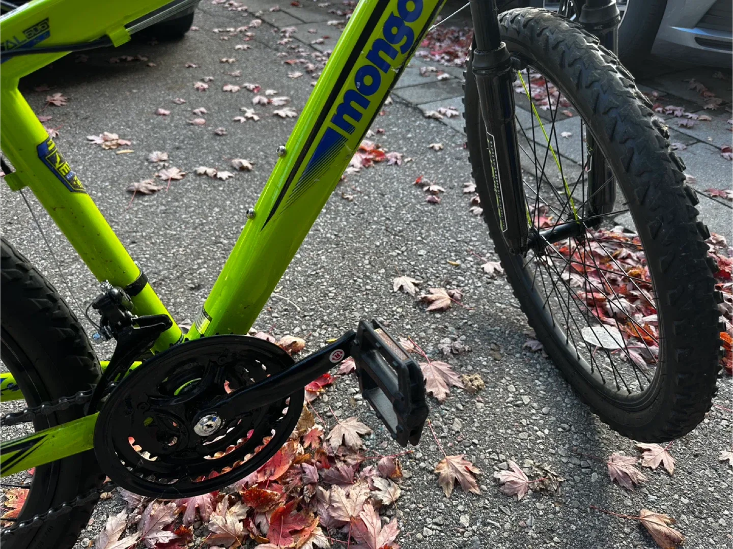 Mongoose 21-Speed Mountain Bike - Green image indicator(2)