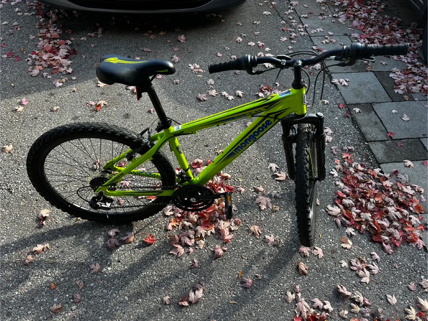 Mongoose 21-Speed Mountain Bike - Green image indicator(4)