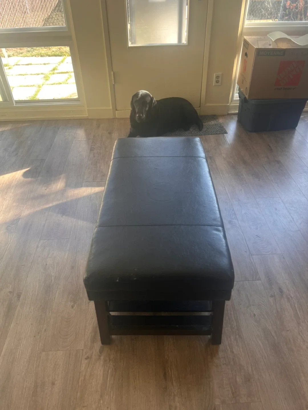 Black Ottoman Bench with Storage Shelf image indicator(2)