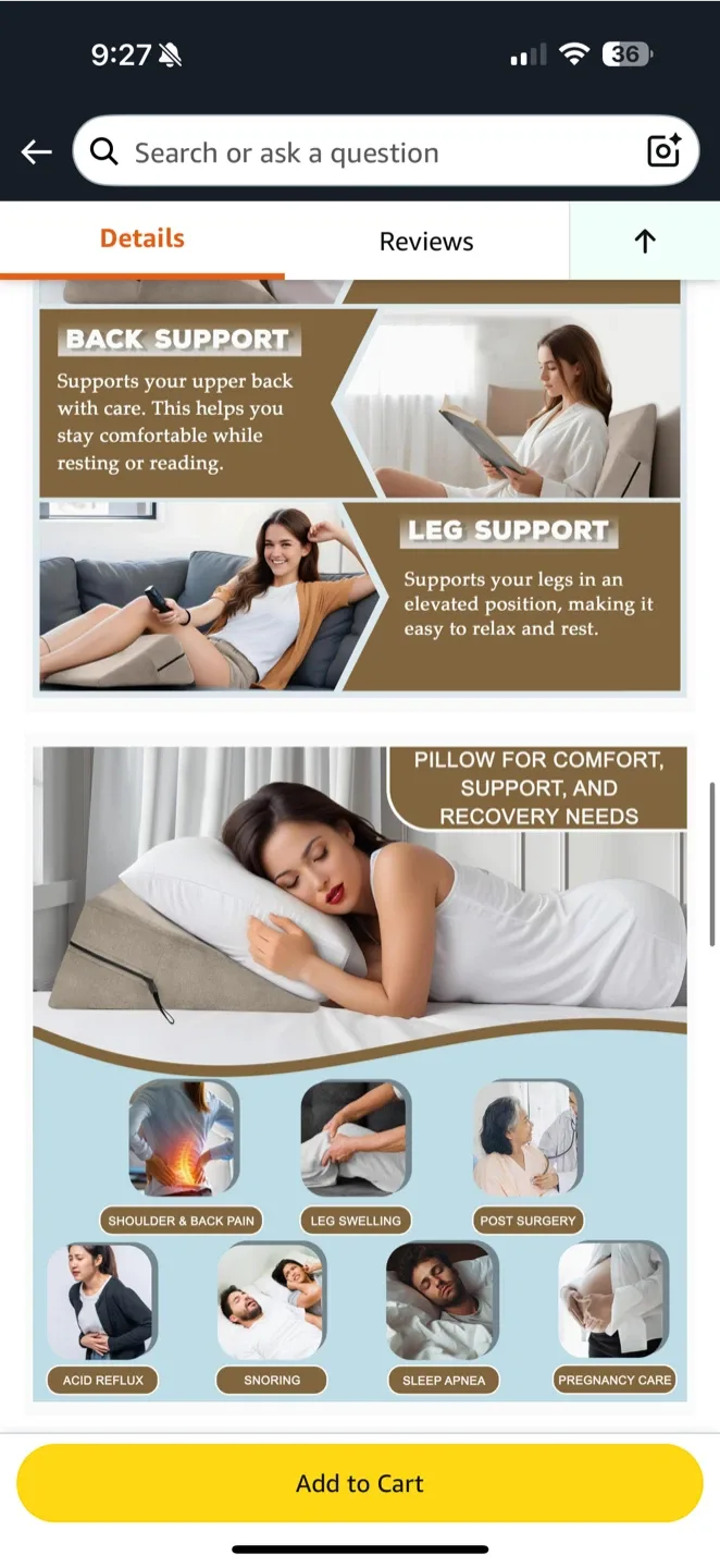 Sokoro Wedge Pillow – Beige (24×24×7”) image indicator(3)