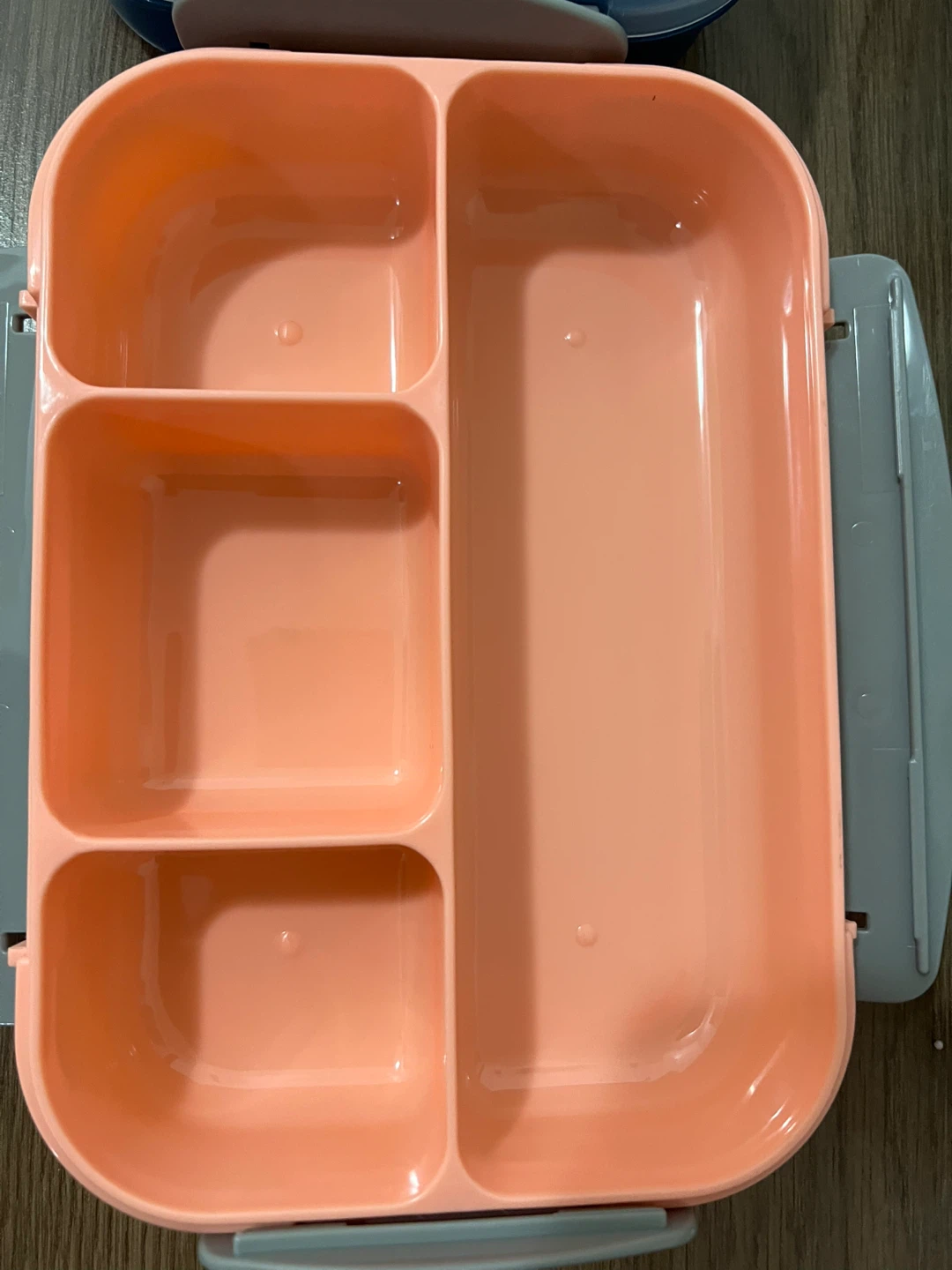 Divided Lunch Box - Pink, Blue, dark Blue and Aqua - photo 3