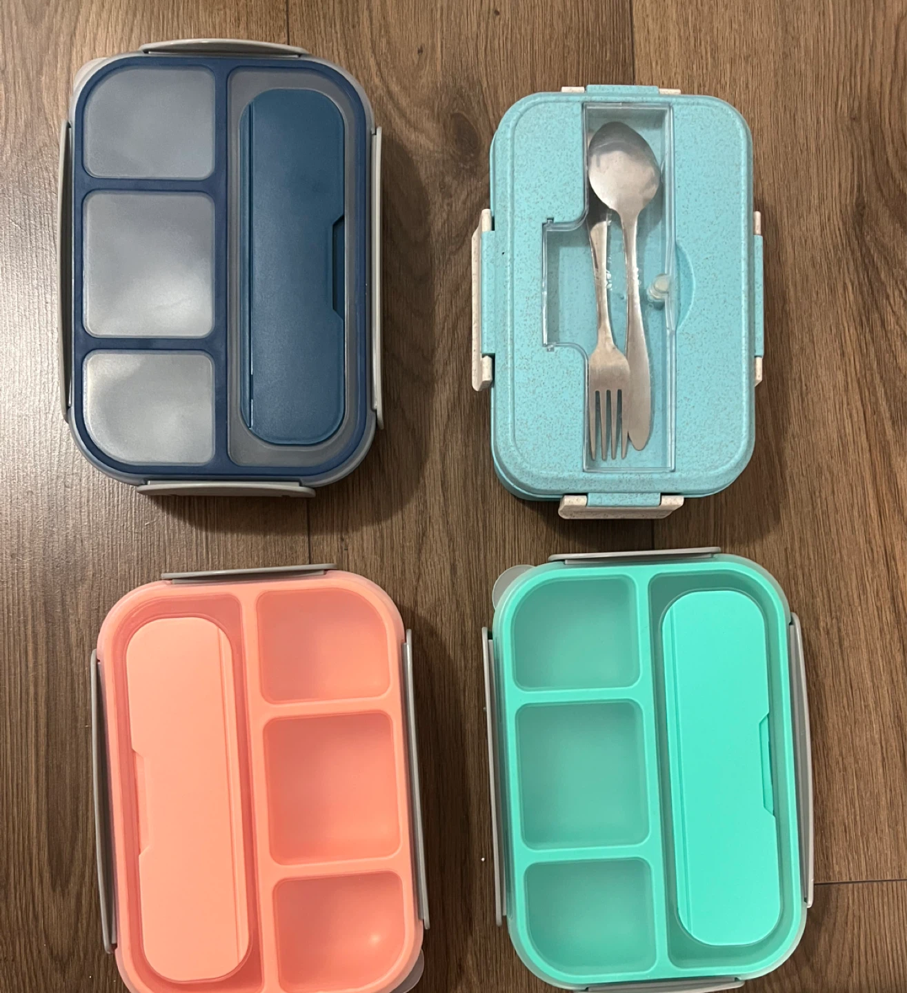 Divided Lunch Box - Pink, Blue, dark Blue and Aqua