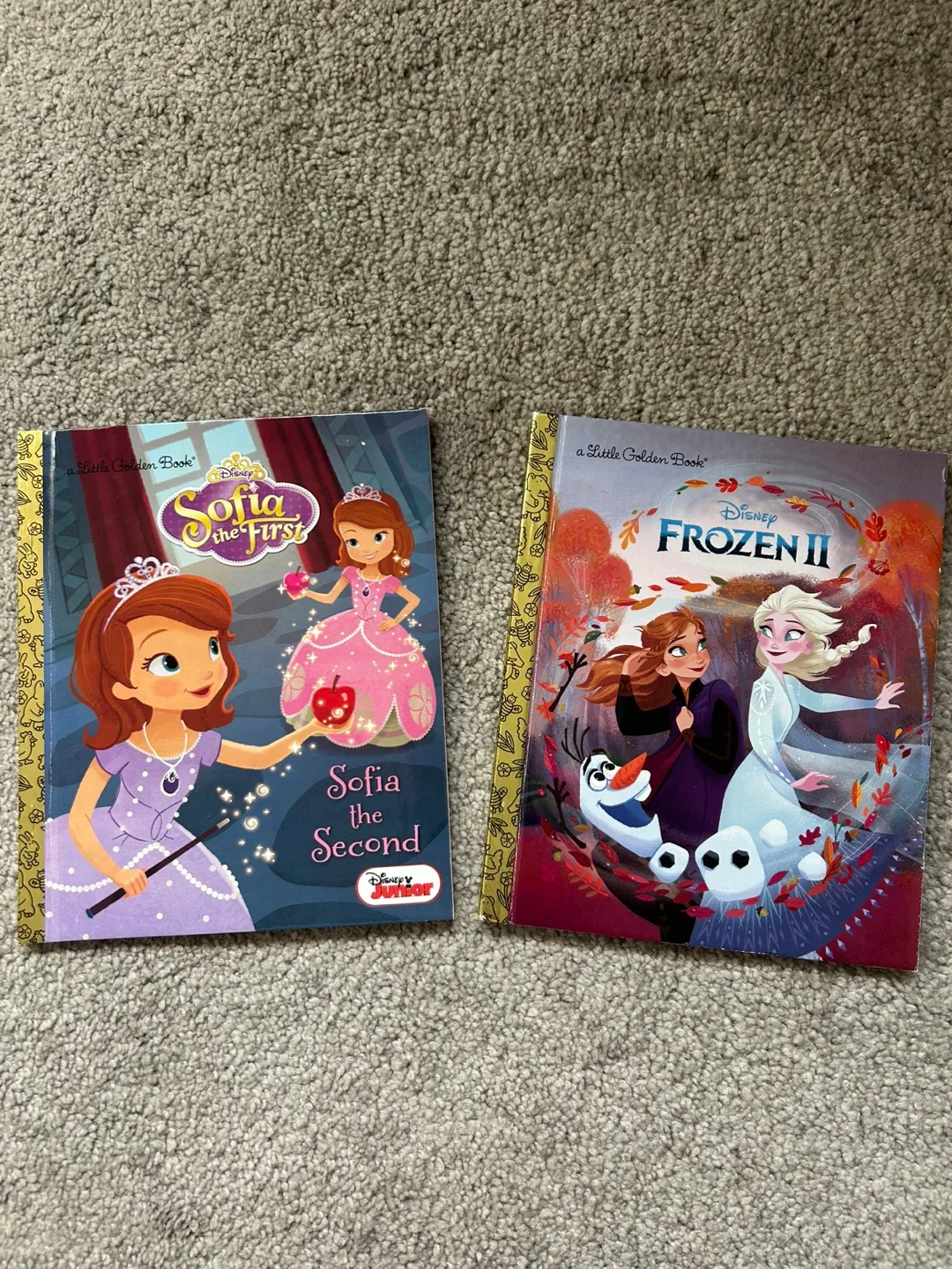 Disney 'Sofia the First' & 'Frozen II' Books thumbnail