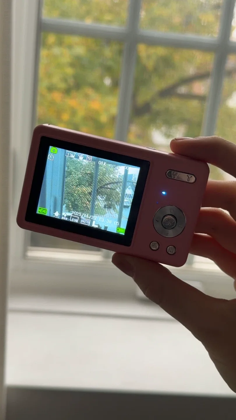 Pink Digital Camera image indicator(3)