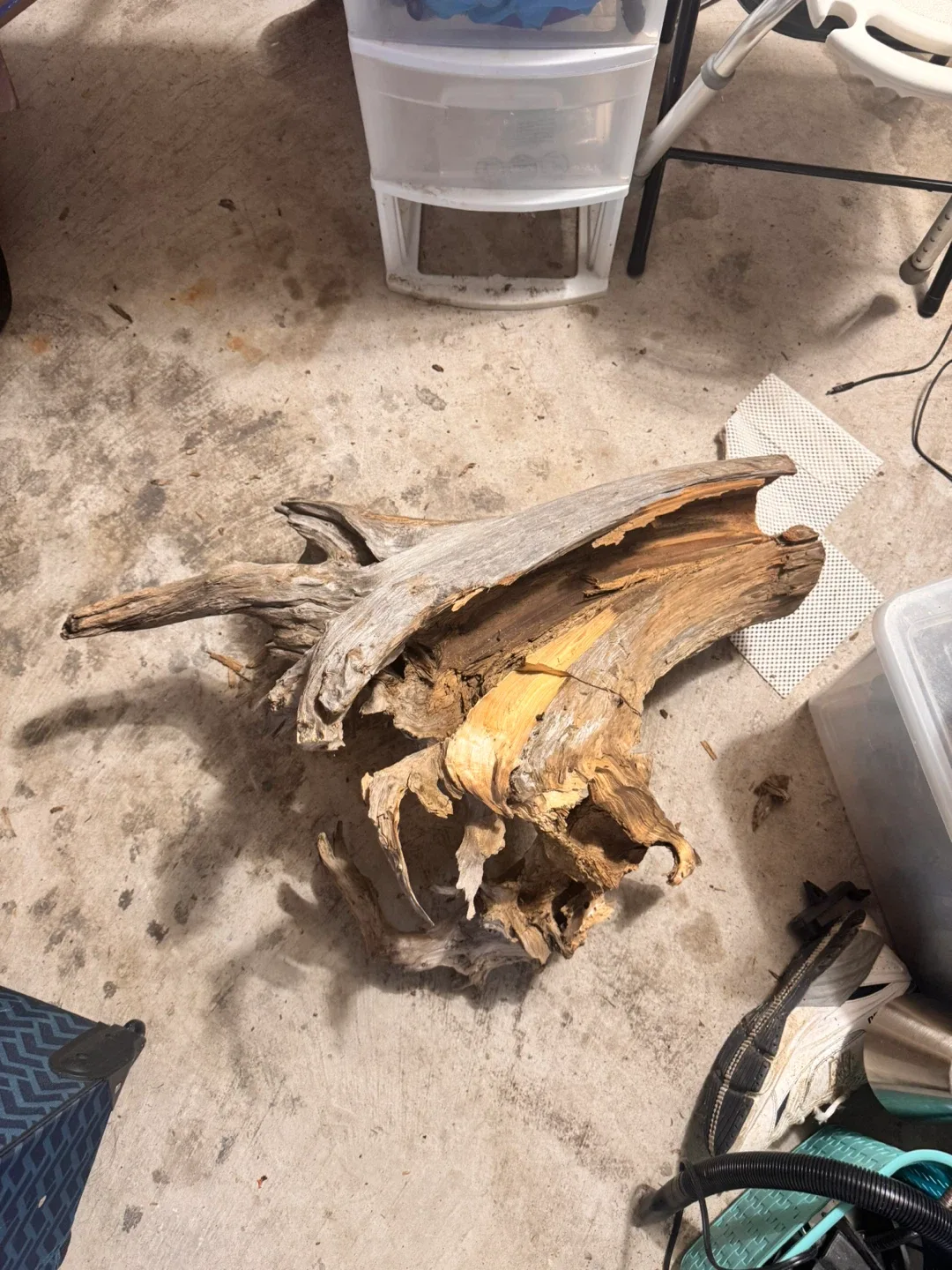 Large Driftwood image indicator(2)