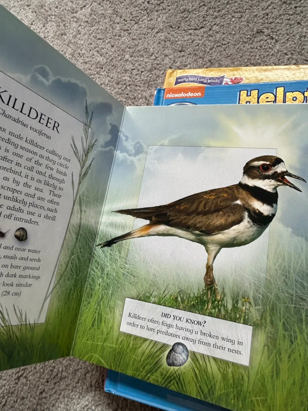 Interactive Children's Books image indicator(2)