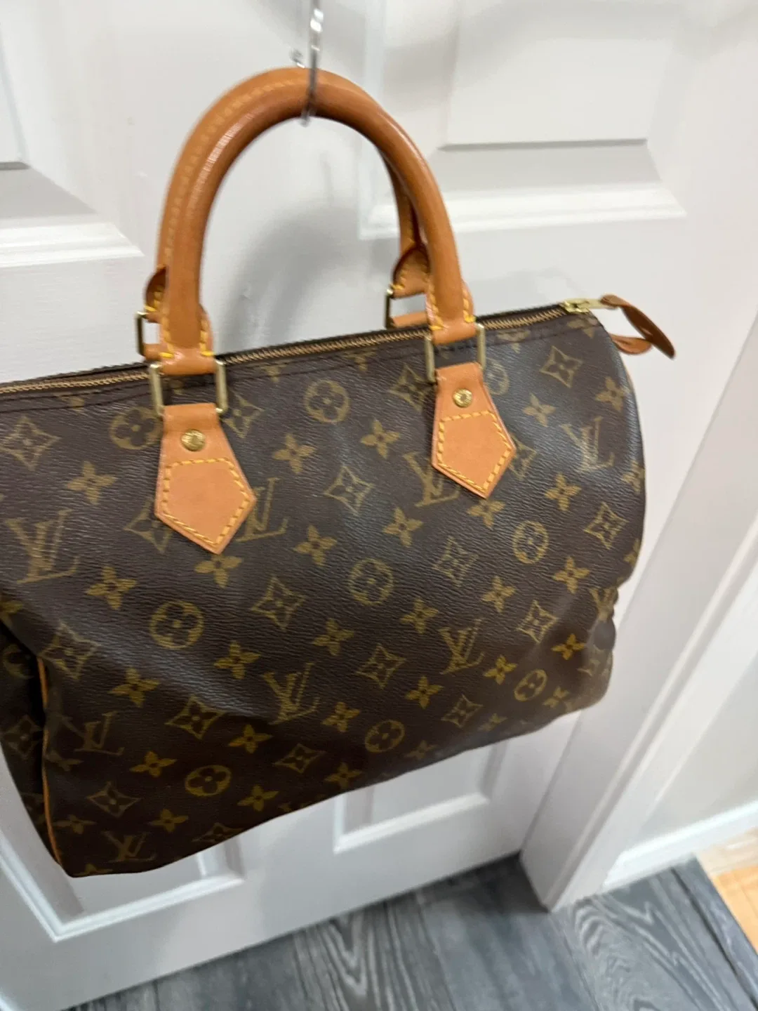 Louis Vuitton Speedy Handbag image indicator(2)