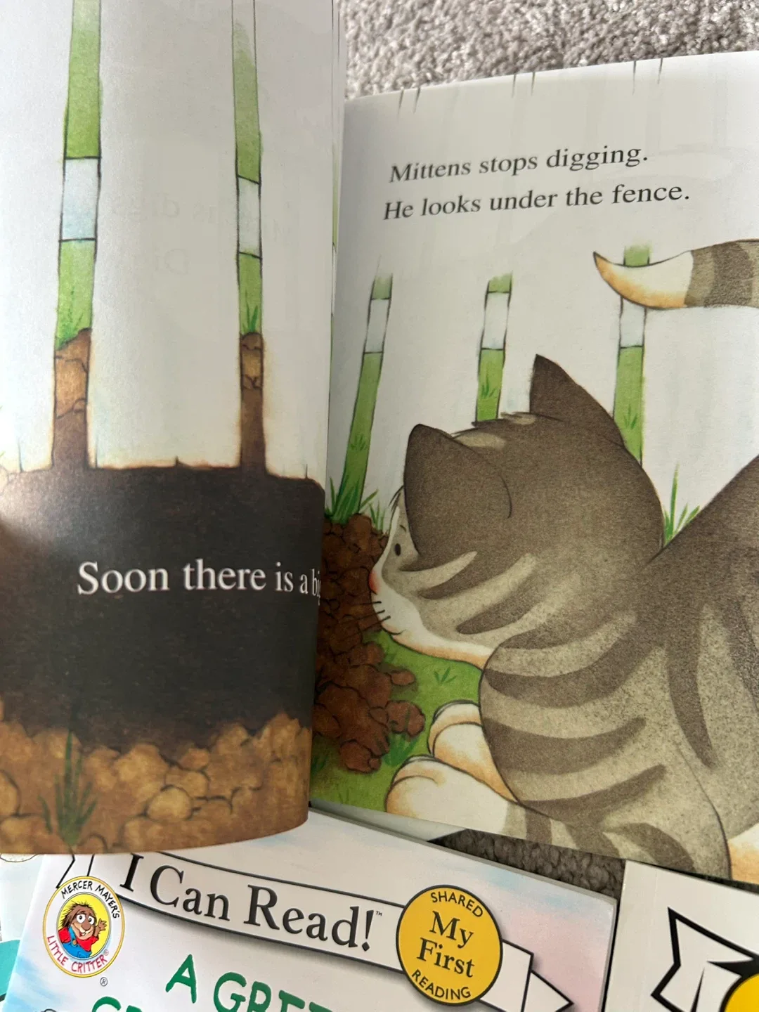 I Can Read! My First Reading books image indicator(6)