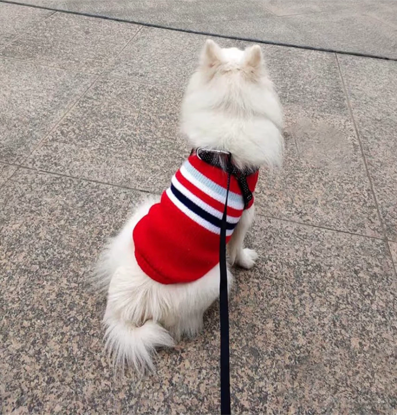 Dog and Cat Sweater, Size L - photo 5