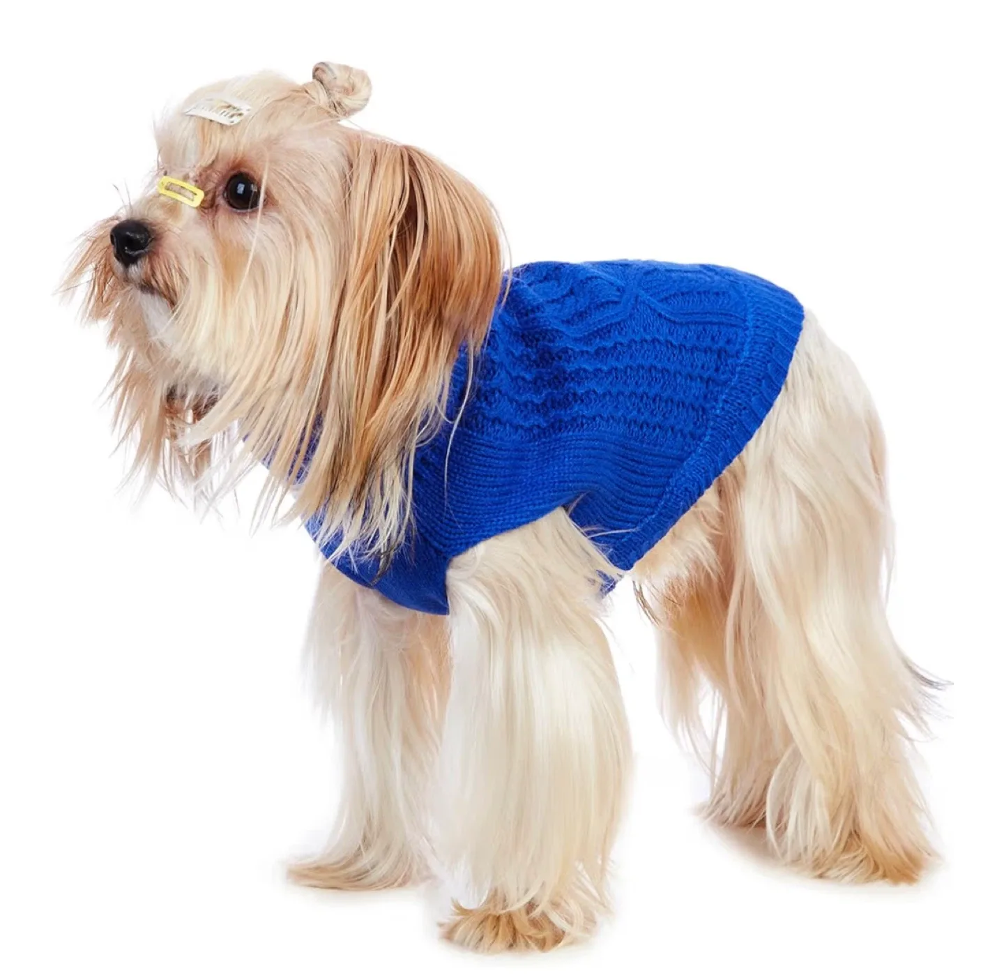 Blue Dog and Cat Sweater Size S image indicator(5)