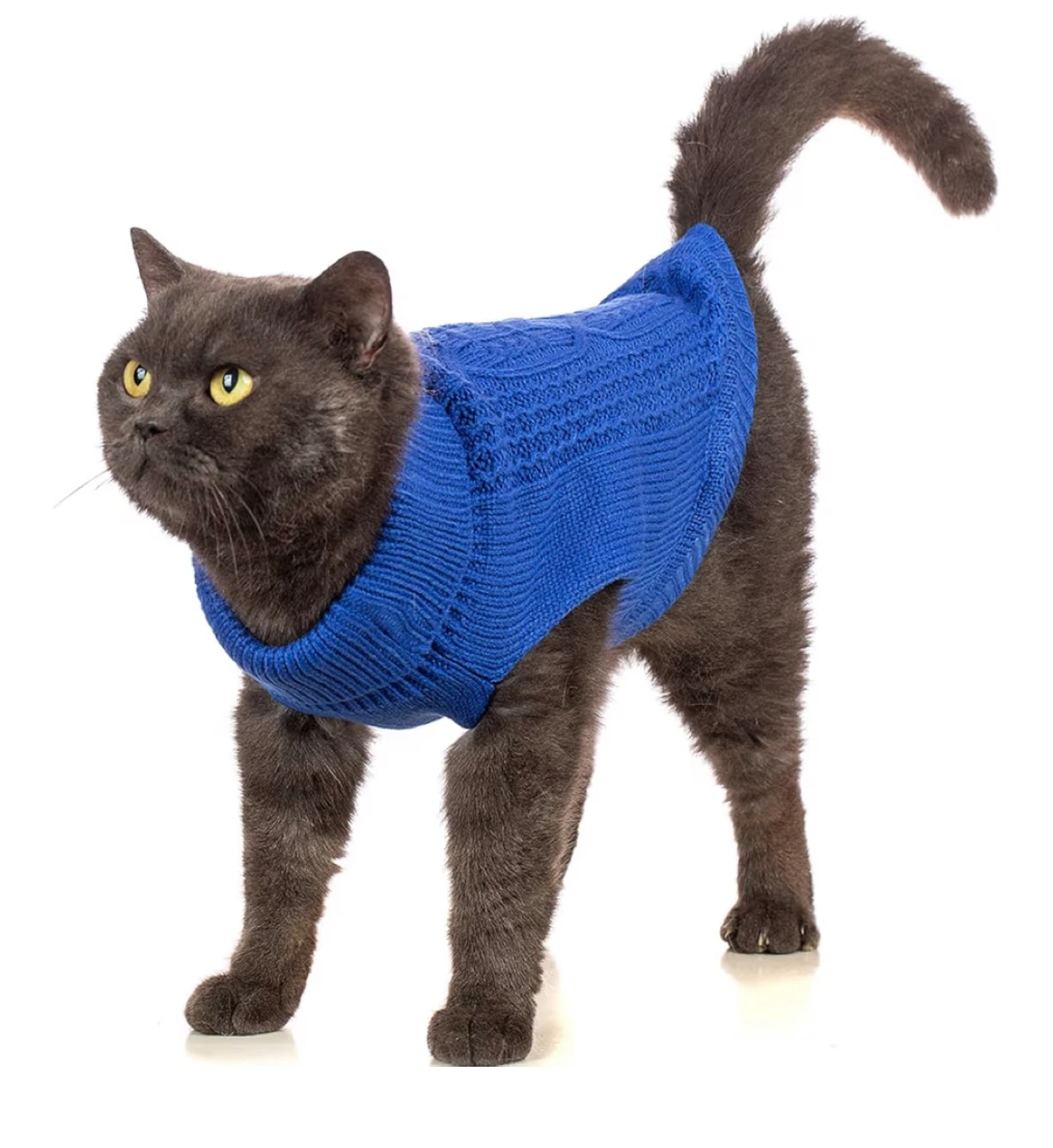 Blue Dog and Cat Sweater Size S - photo 4