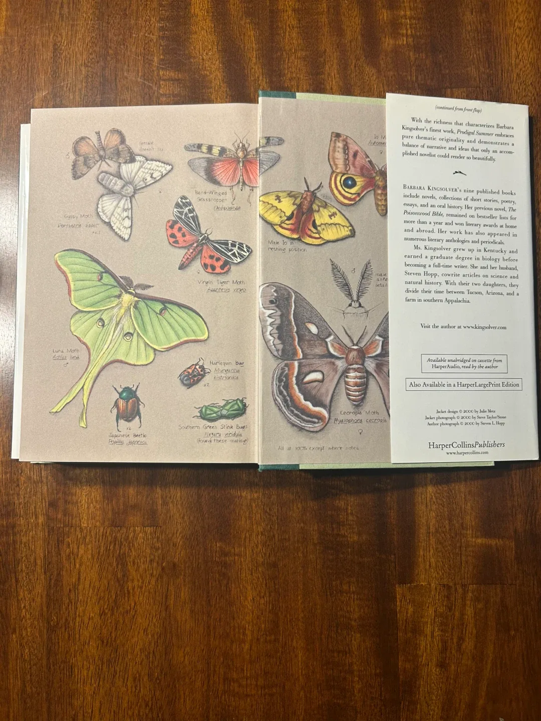 Hardcover Prodigal Summer by Barbara Kingsolver image indicator(3)