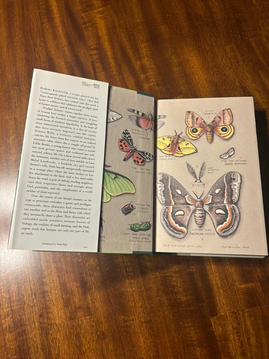 Hardcover Prodigal Summer by Barbara Kingsolver image indicator(2)