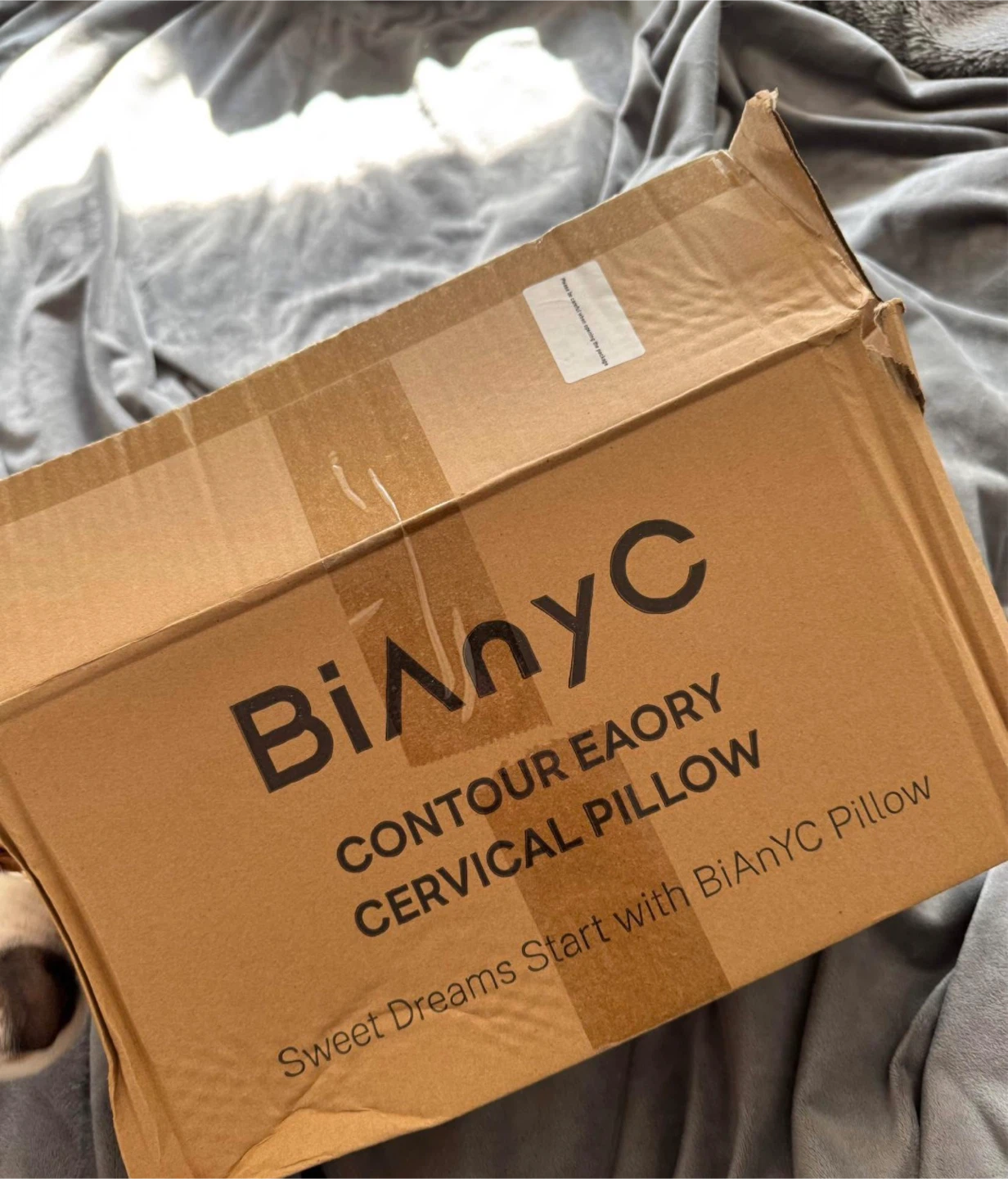BiAnyC Contour Cervical Pillow w/ Box - photo 2