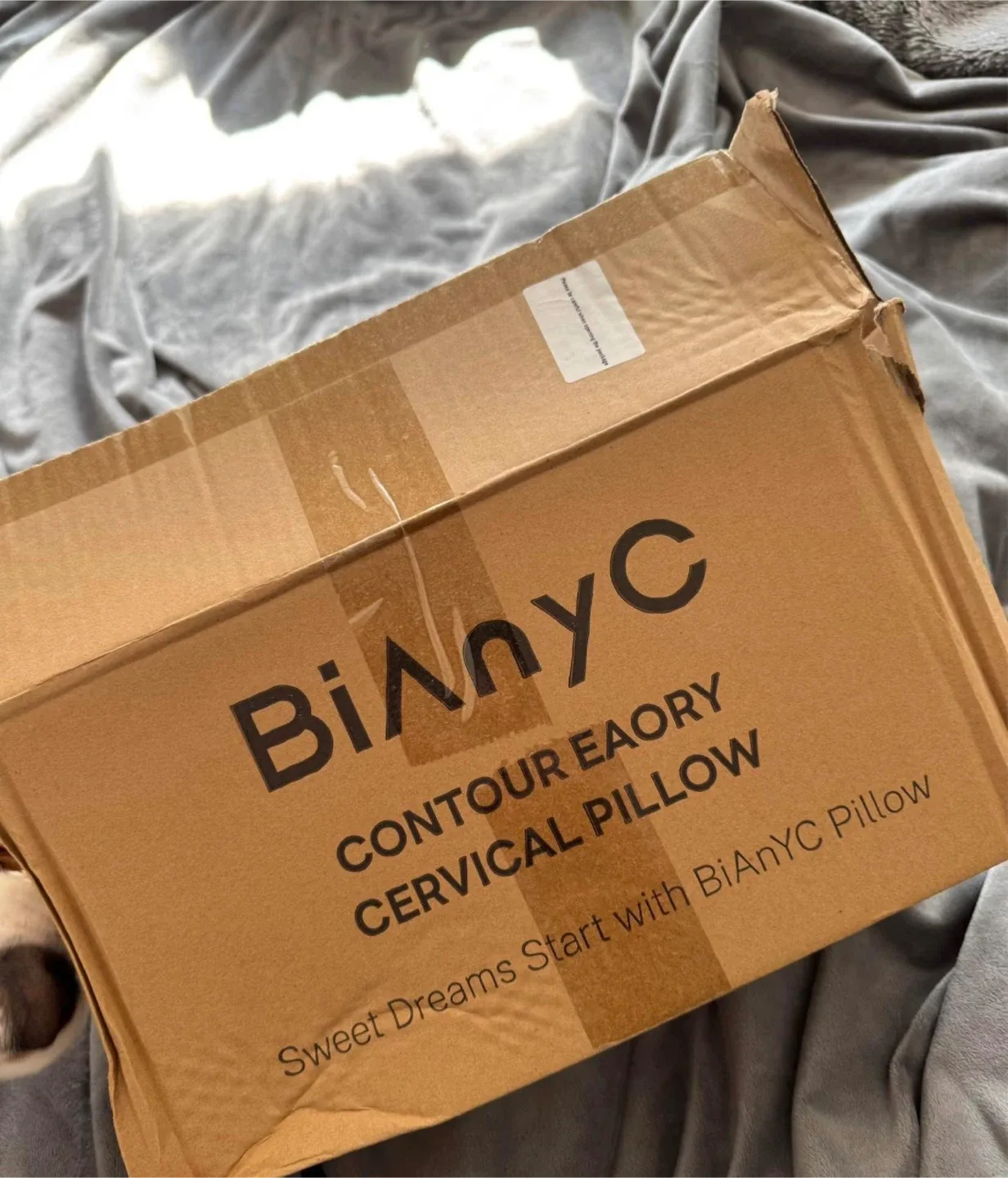 BiAnyC Contour Cervical Pillow w/ Box image indicator(2)