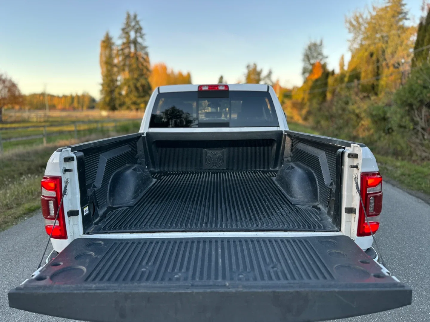 2020 Dodge RAM LARMIE 3500 DIESEL image indicator(10)