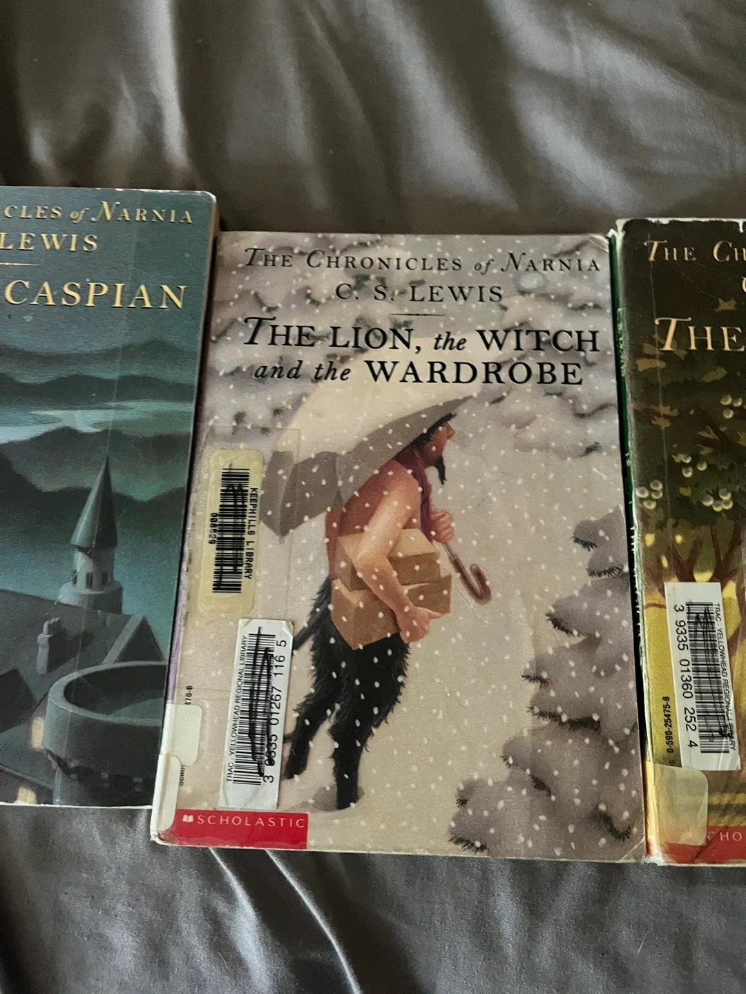 Chronicles of Narnia books by C.S. Lewis image indicator(4)