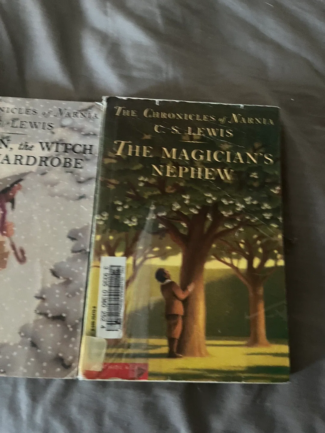 Chronicles of Narnia books by C.S. Lewis image indicator(5)