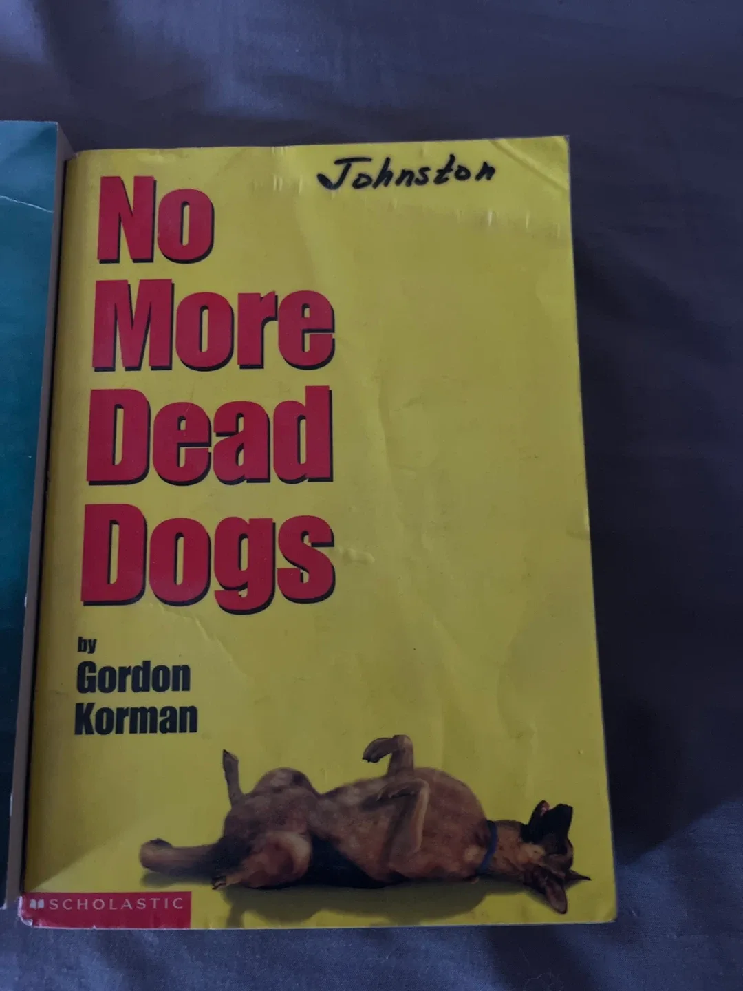 Lot of Assorted Books for Teens image indicator(4)