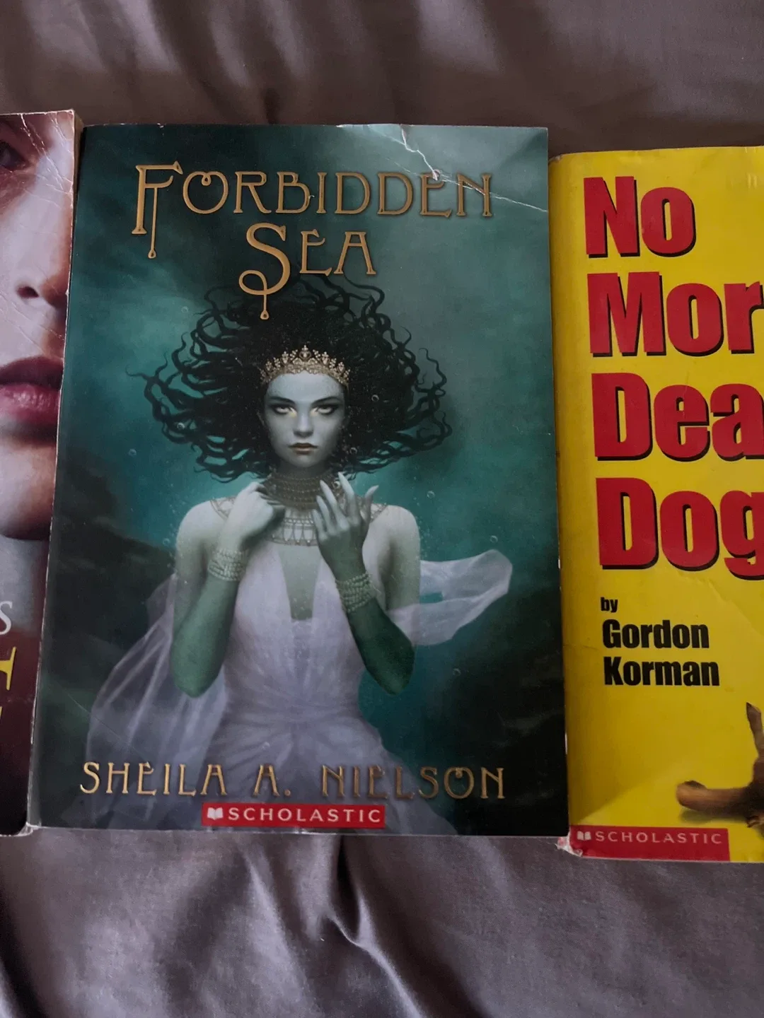 Lot of Assorted Books for Teens image indicator(3)