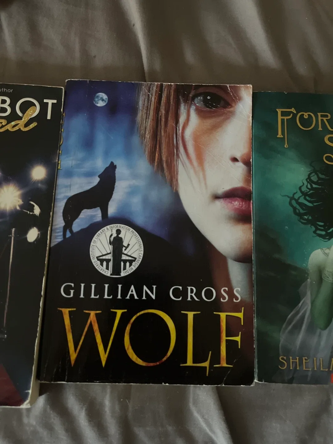 Lot of Assorted Books for Teens image indicator(2)