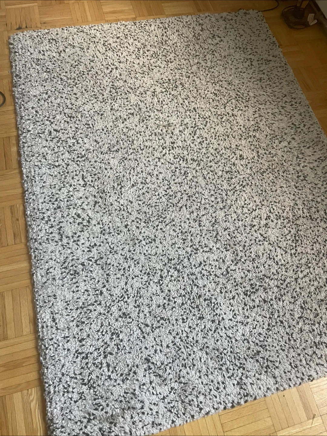 Grey Shag Rug image indicator(2)