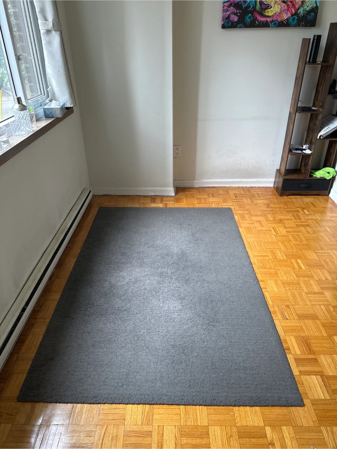 Dark Grey Area Rug/Carpet (5x7 ft)