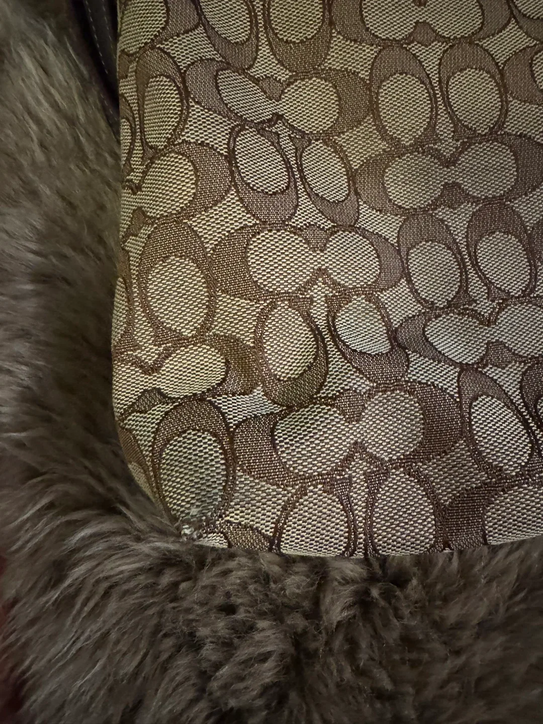 Coach Crossbody Bag & Sneakers - Brown image indicator(2)