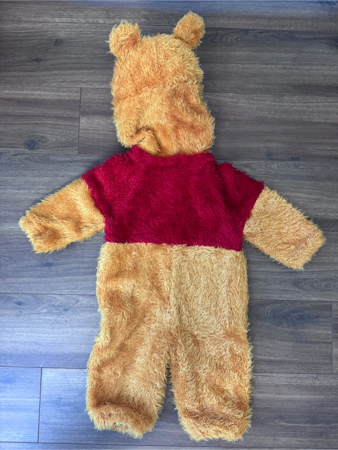 Disney Winnie the Pooh Halloween Costume - photo 2