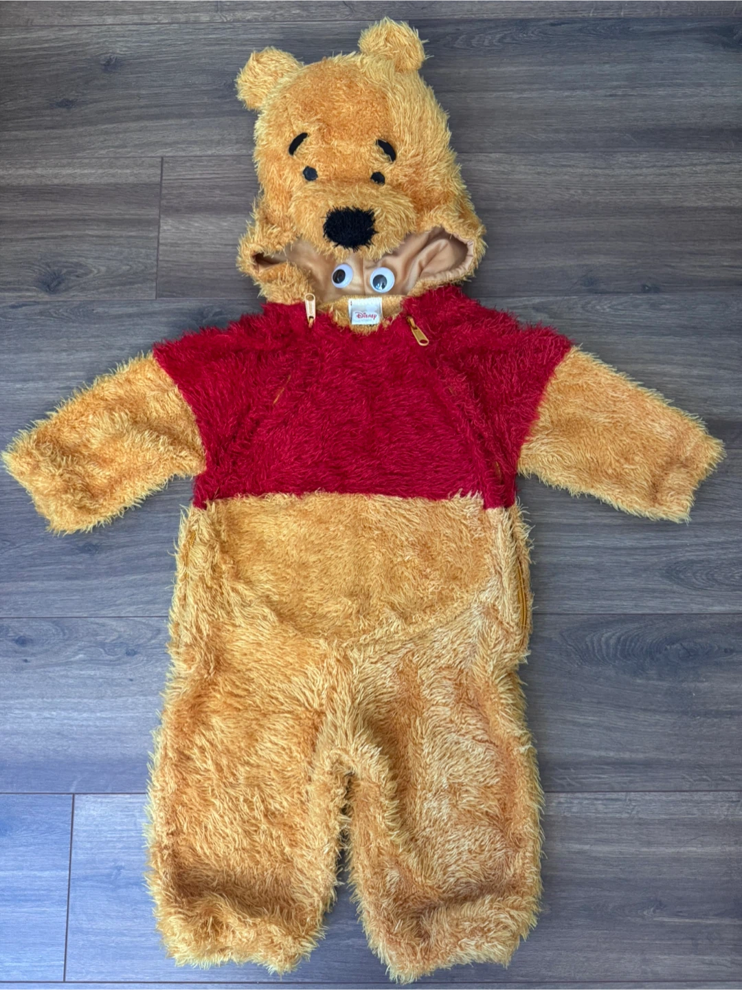Disney Winnie the Pooh Halloween Costume