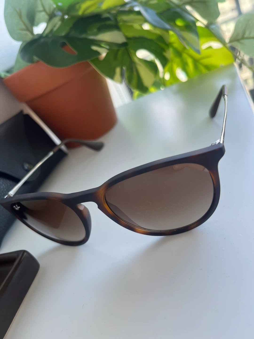 Ray-Ban Erika Classic Sunglasses in Matte Brown - photo 2