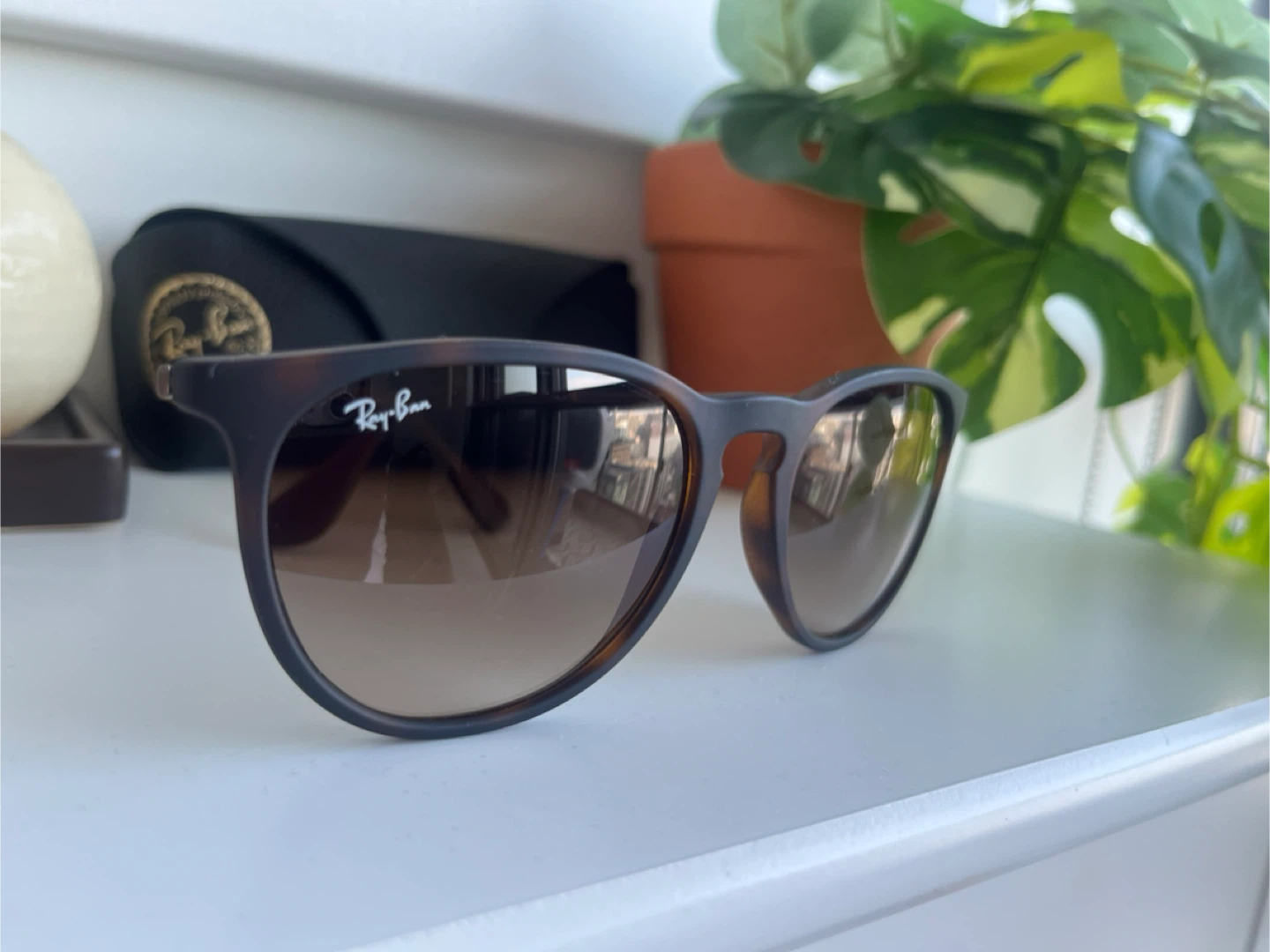 Ray-Ban Erika Classic Sunglasses in Matte Brown