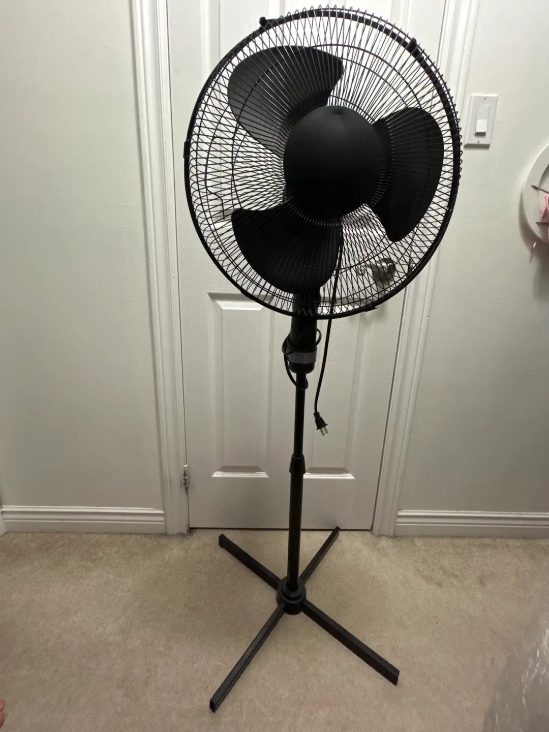 Black Standing Fan thumbnail