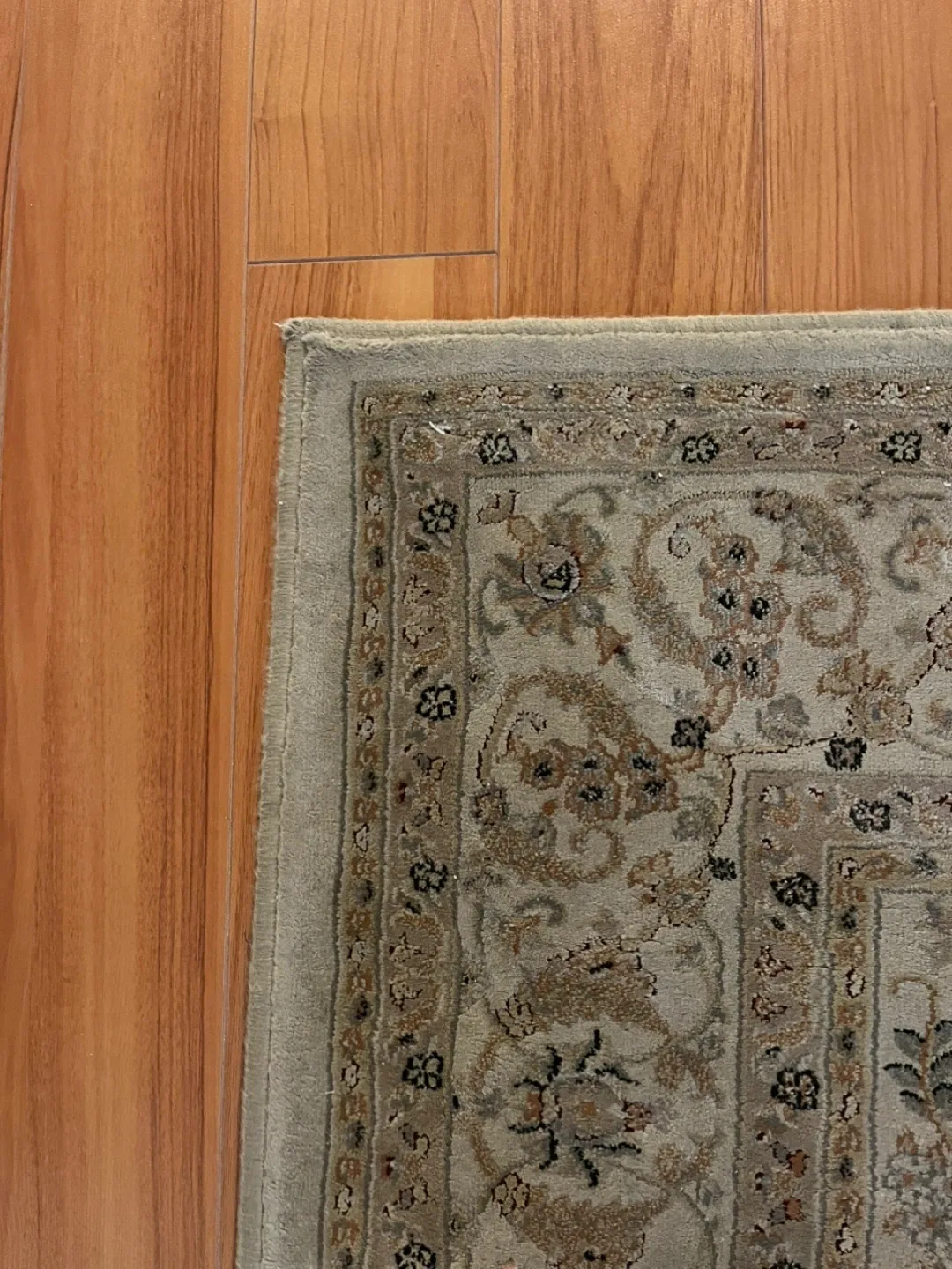 Elegant Floral Area Rug – Instantly image indicator(2)
