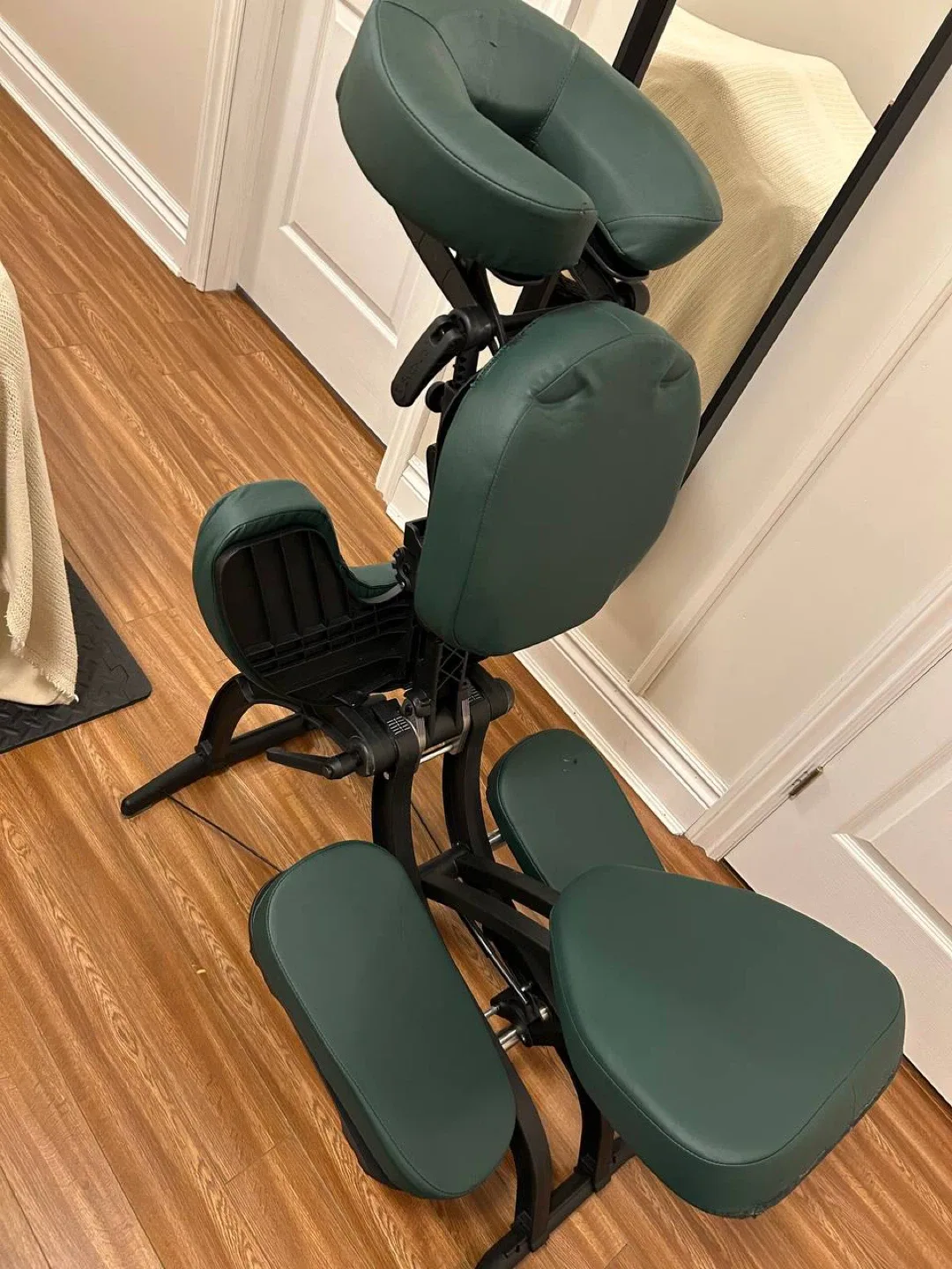 Earthlite Massage Table Carry Case thumbnail