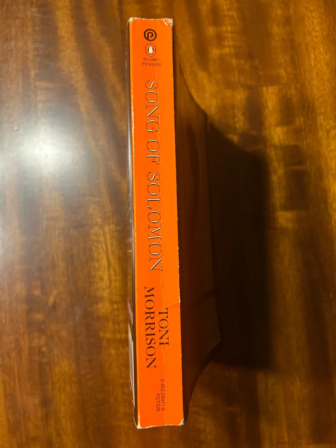 Song of Solomon by Toni Morrison image indicator(3)