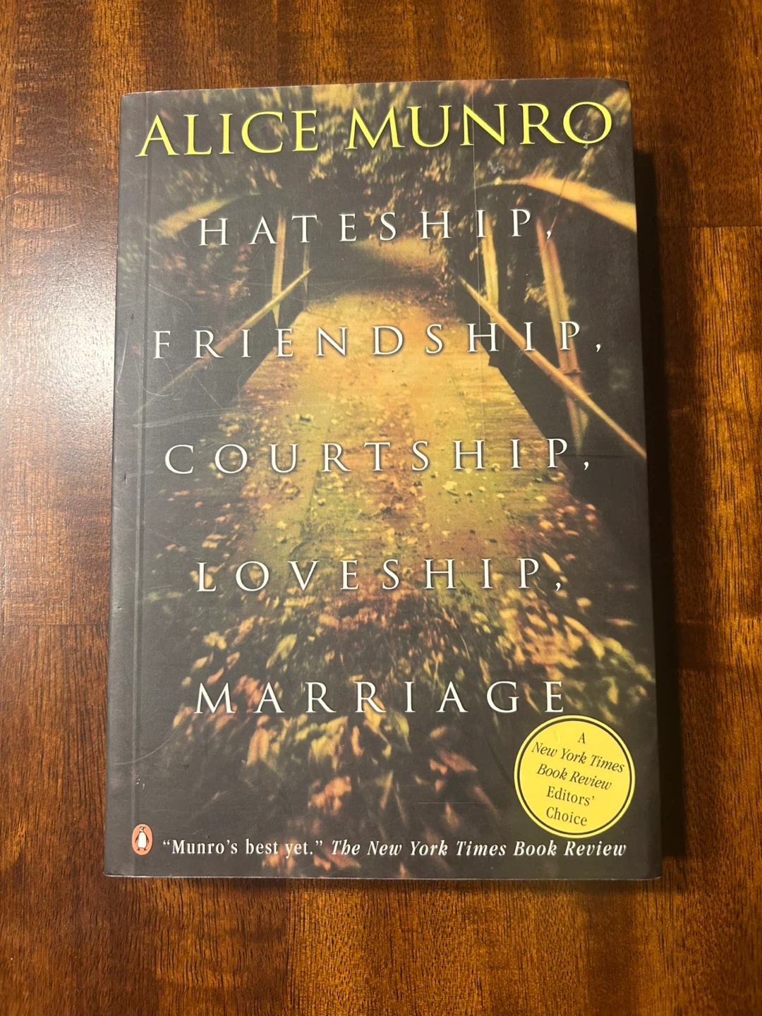 Hateship, Friendship, Courtship, Loveship, Marriage by A. Munro