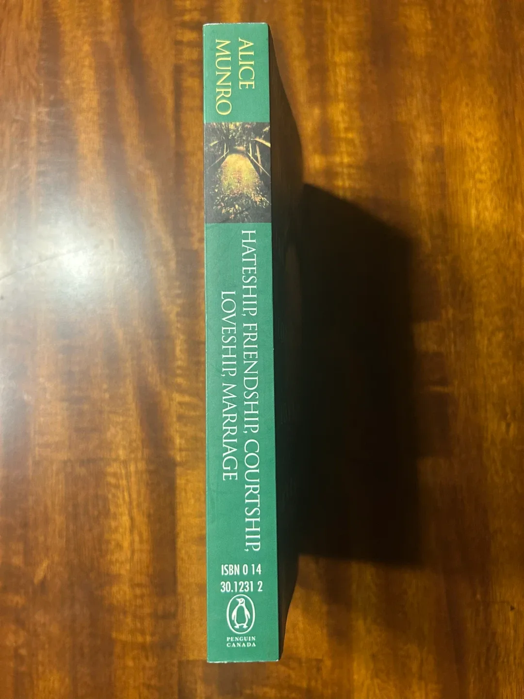 Hateship, Friendship, Courtship, Loveship, Marriage by A. Munro image indicator(3)