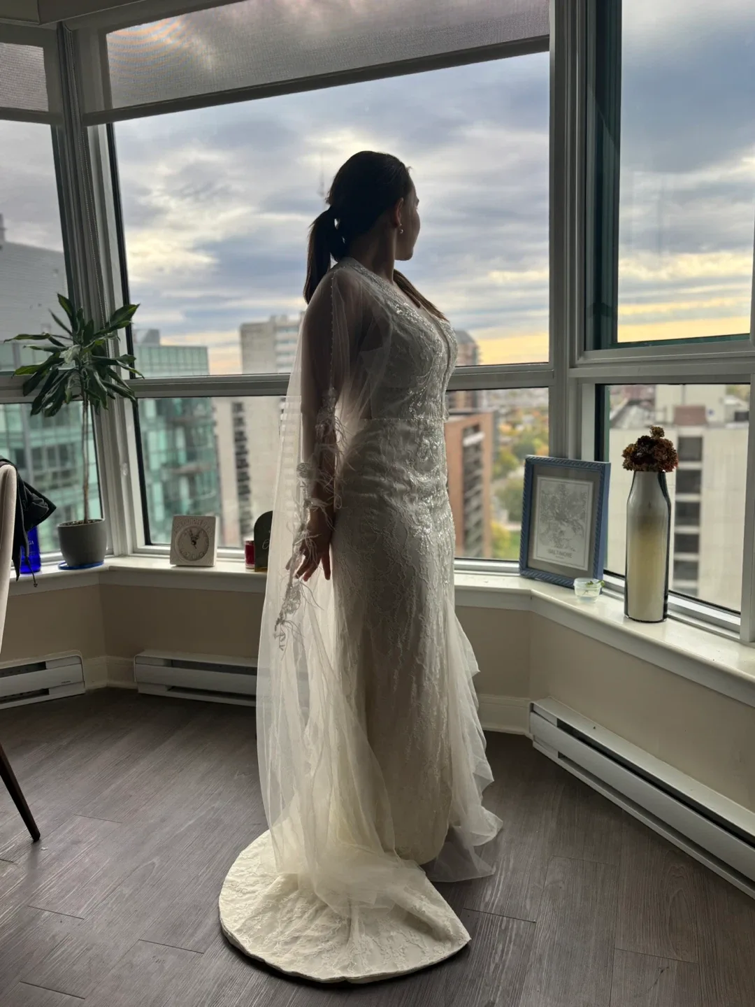 Lace Wedding Dress with Attached Sheer Veil image indicator(9)