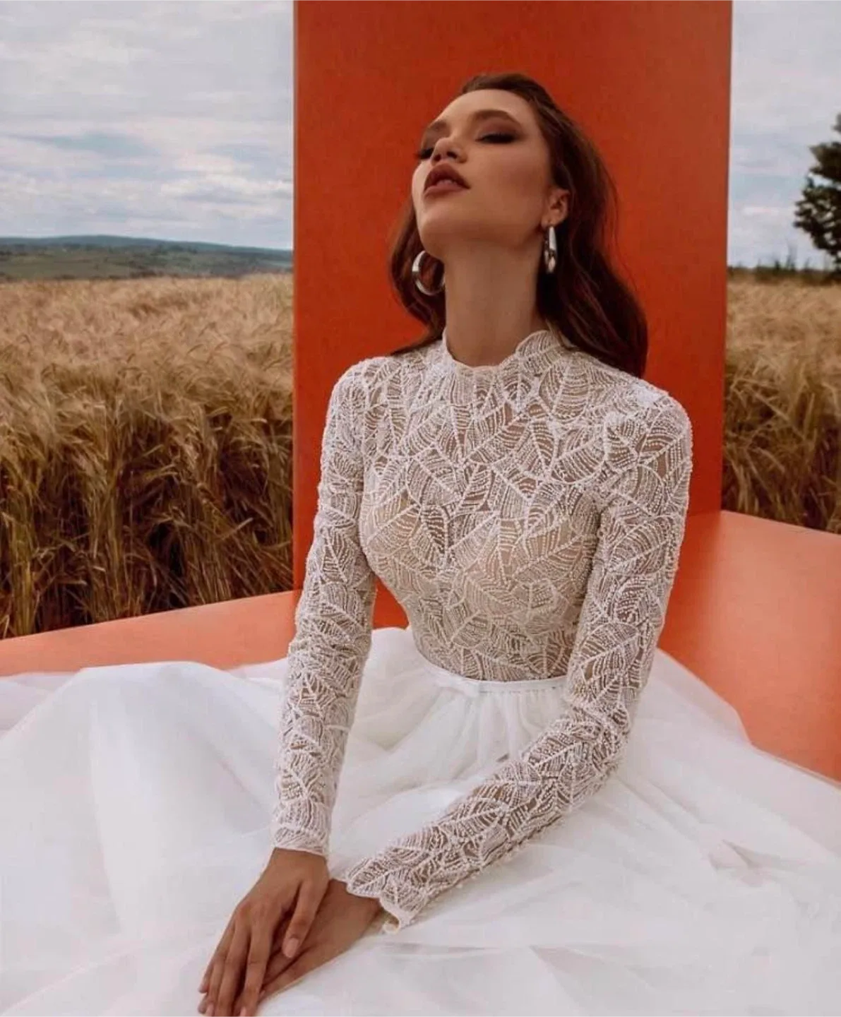 Wedding dress image indicator(6)