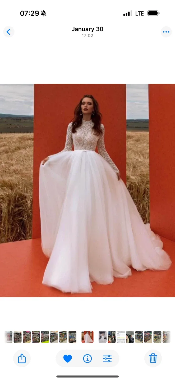 Wedding dress image indicator(5)