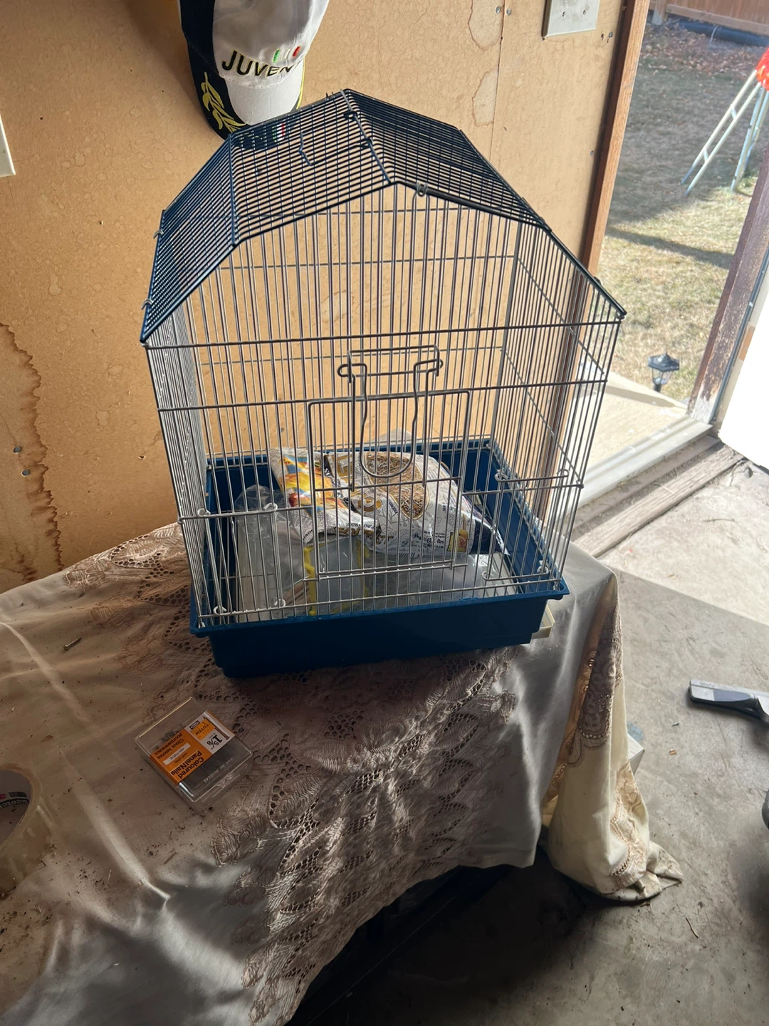 Blue Bird Cage