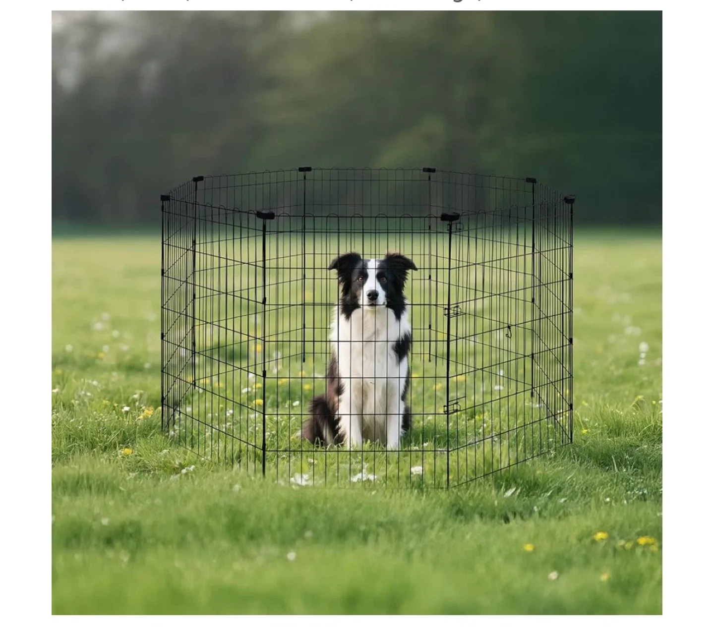 Amazon Basics Foldable Metal Dog Playpen - 42 inch image indicator(6)