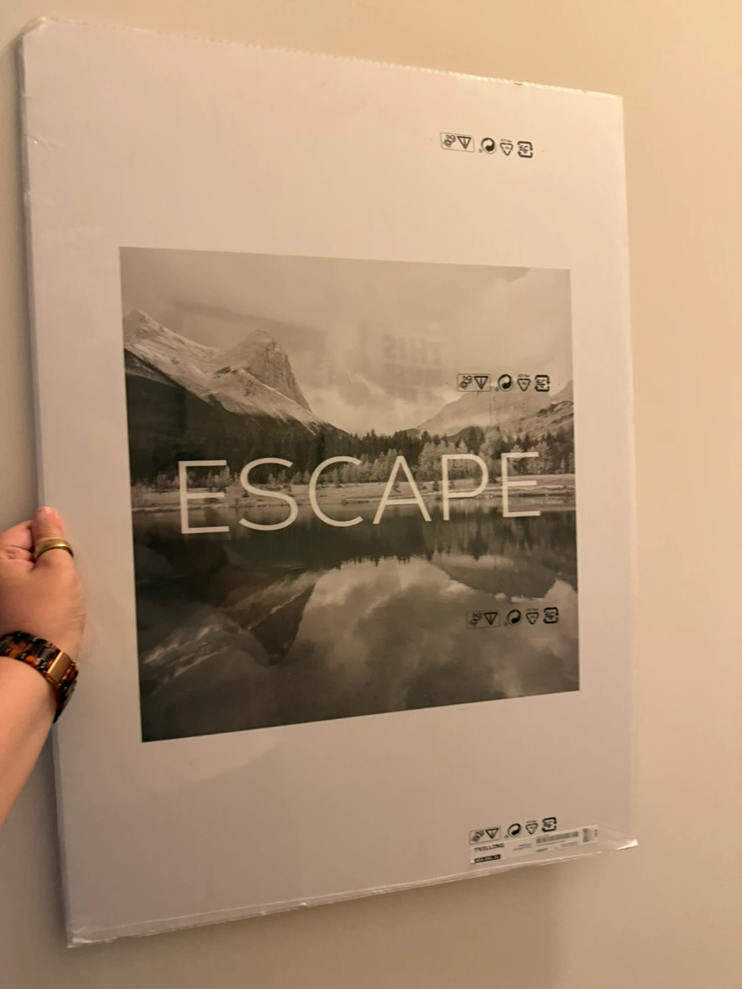 IKEA Picture 2-pack, 50x70 cm (19 ¾x27 ½")