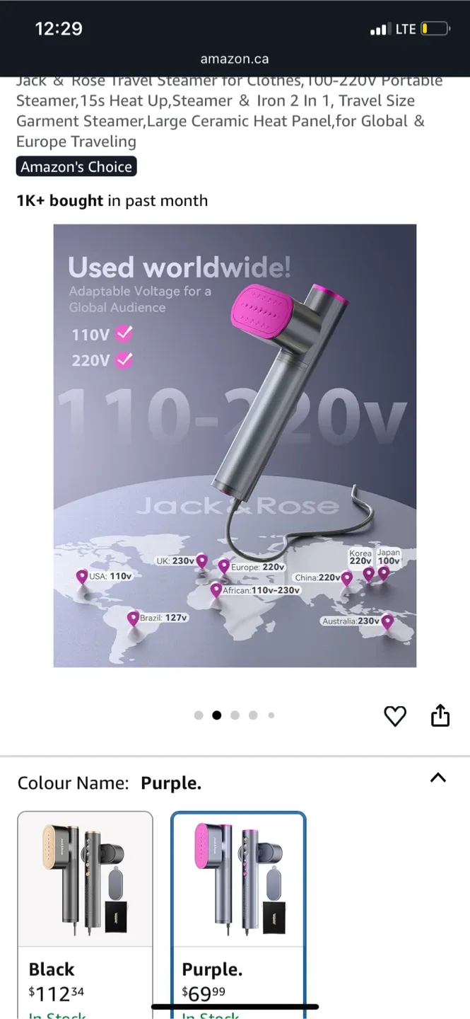 Portable steamer image indicator(2)