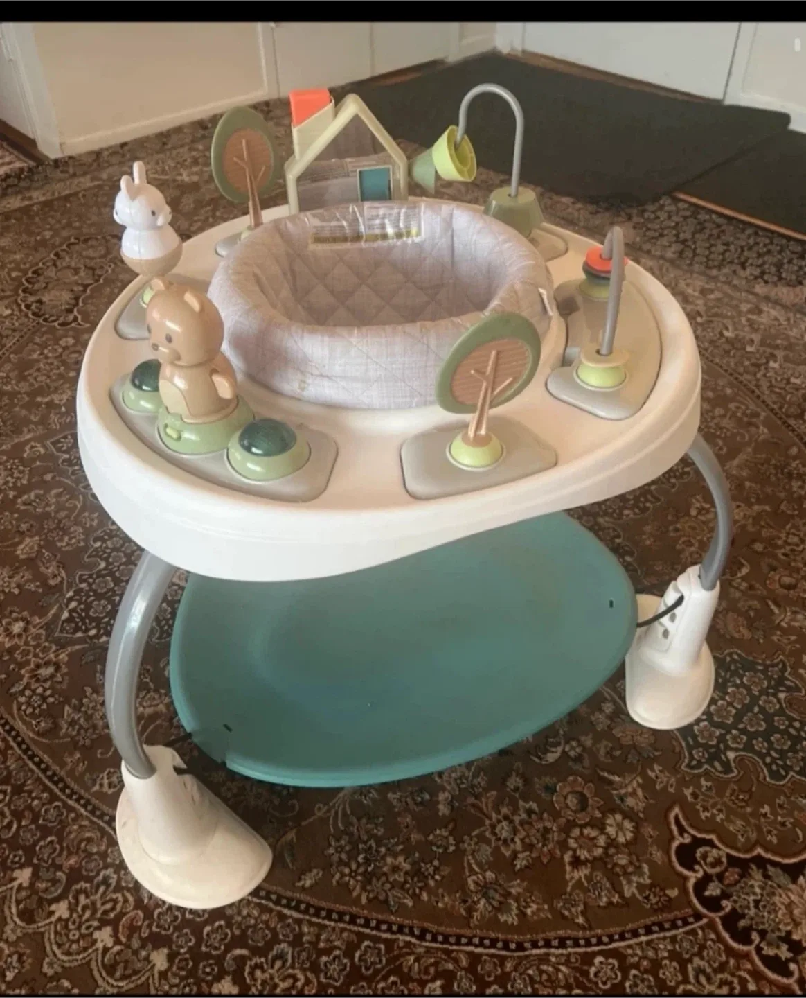 Baby Activity Center Jumper thumbnail