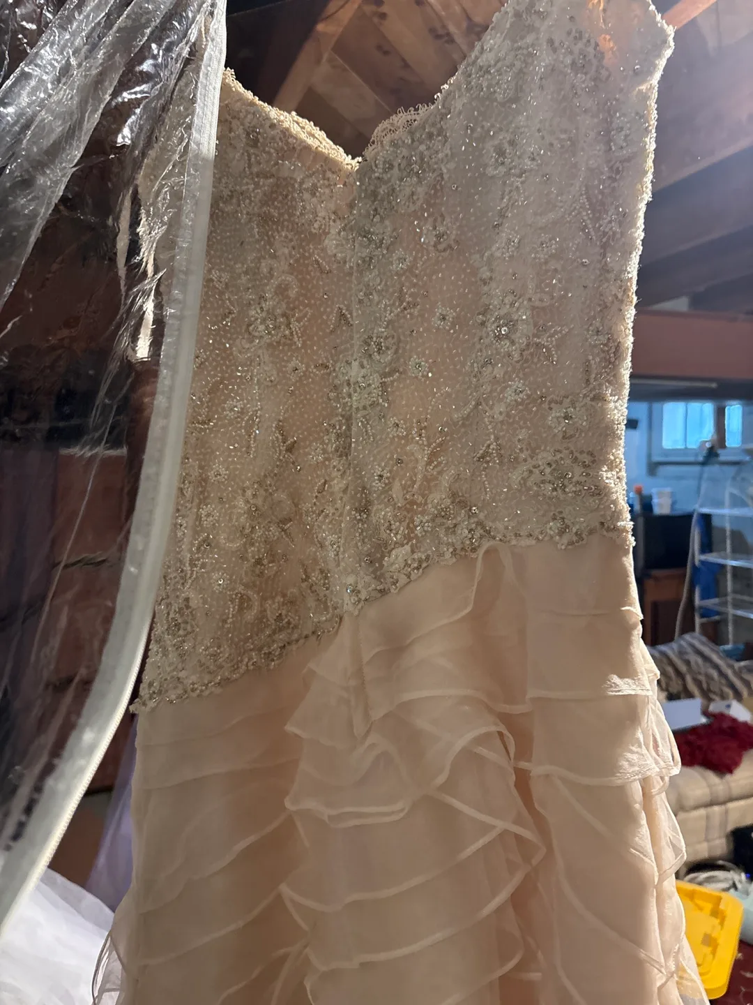 Beaded Wedding Dress image indicator(4)