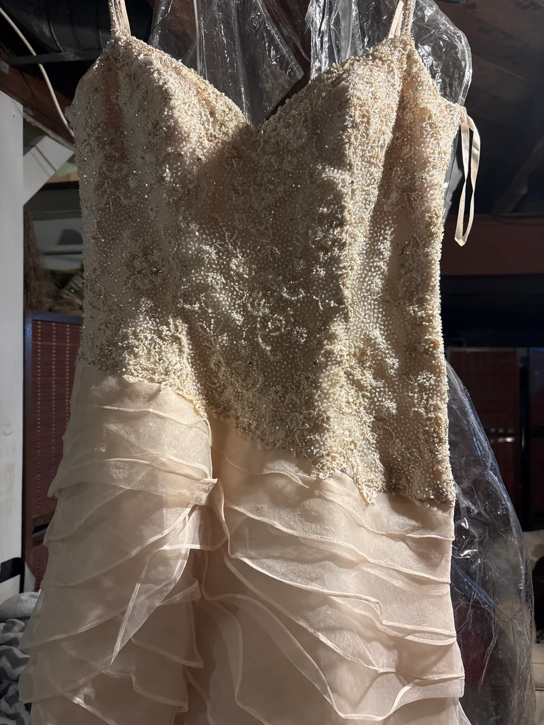 Beaded Wedding Dress image indicator(2)